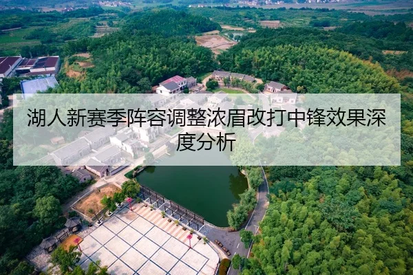 湖人新赛季阵容调整浓眉改打中锋效果深度分析